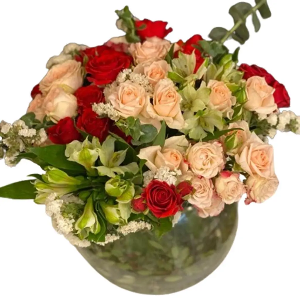 فازة الفرح